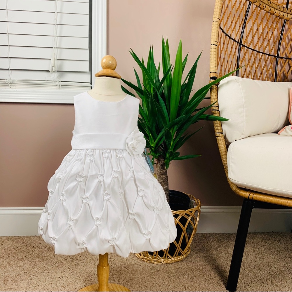 American princess special occasion dress